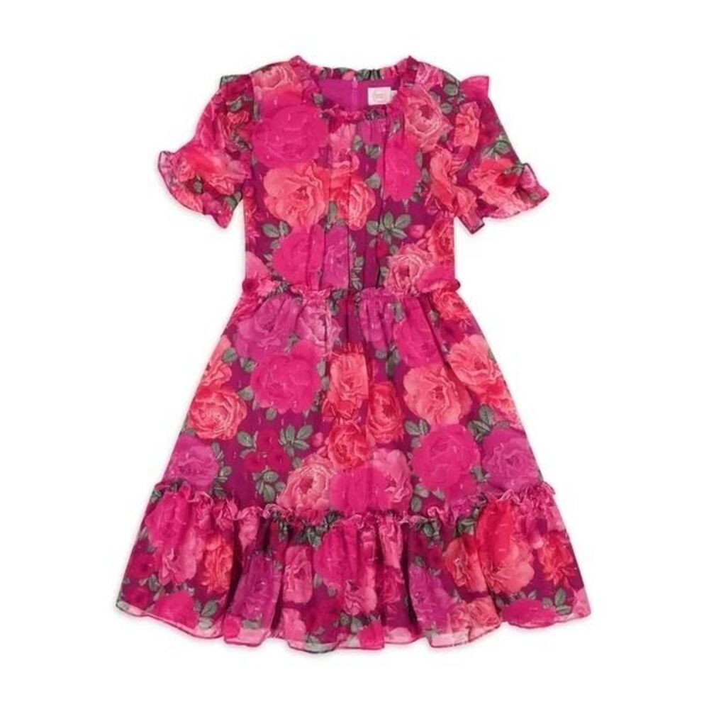 Wonder Nation Girls Metallic Chiffon Dress, size 4 pink short sleeve